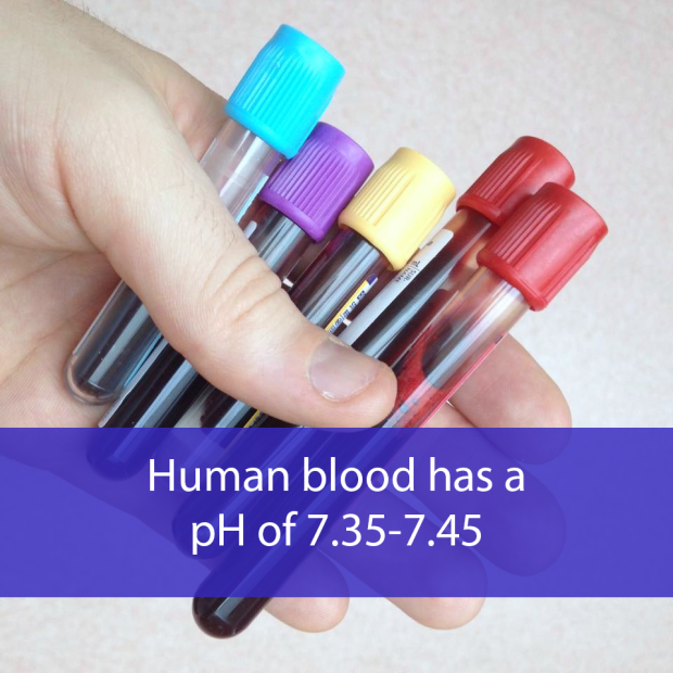 Human blood has a pH of 7.35-7.45