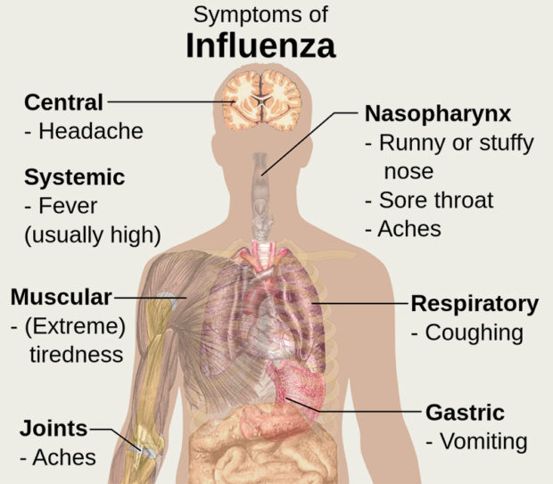 Symptoms_of_influenza